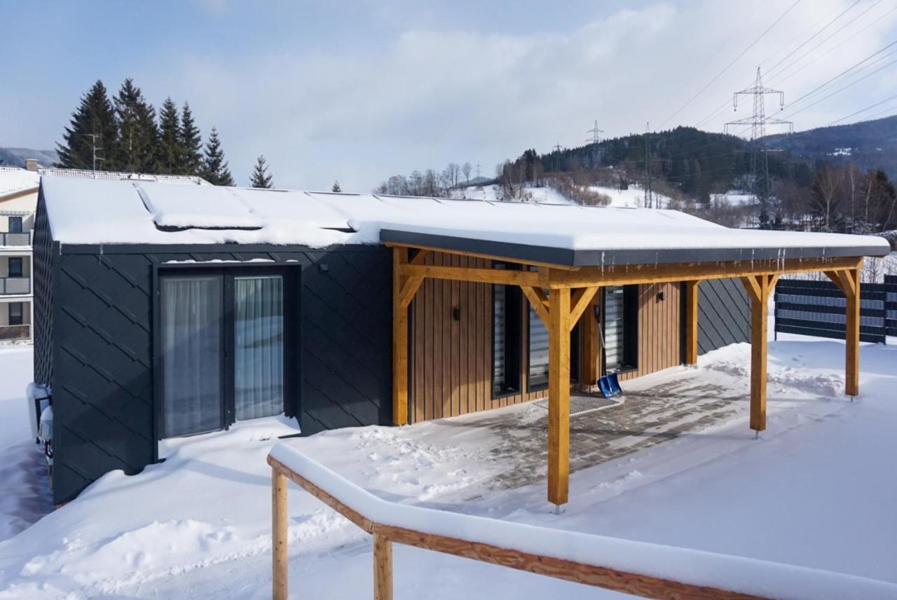 Chalet Stuhleckblick-Ferienhaus Direkt An Der Piste Und Mit Eigener Sauna Spital am Semmering Extérieur photo